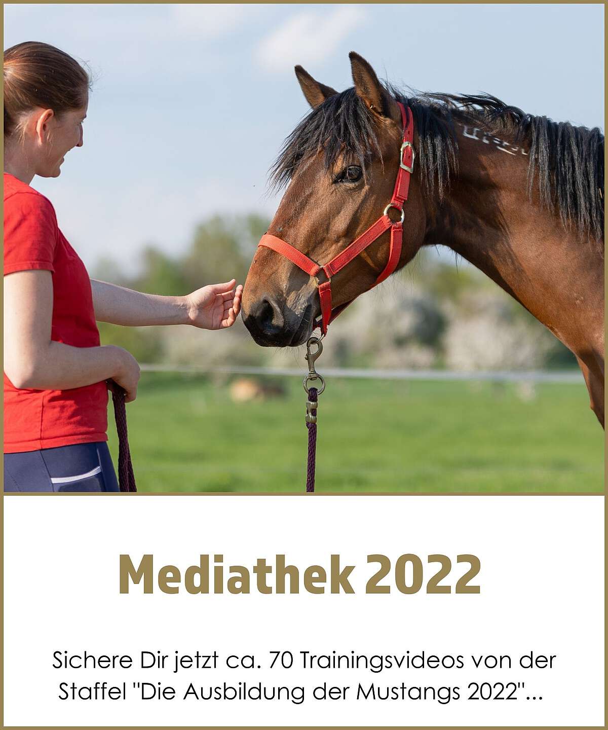 Wie heißt das Pferd von Gefährten in echt? Wie heißt das Pferd von Gefährten in echt?