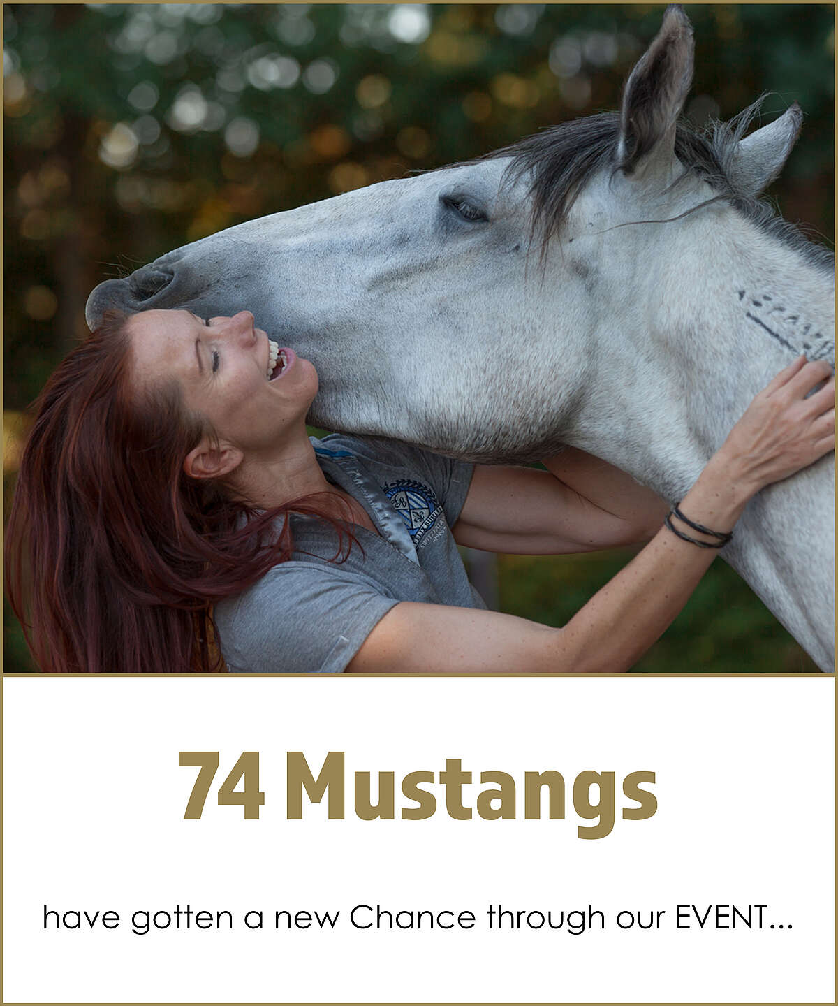 Mustangmakeover English