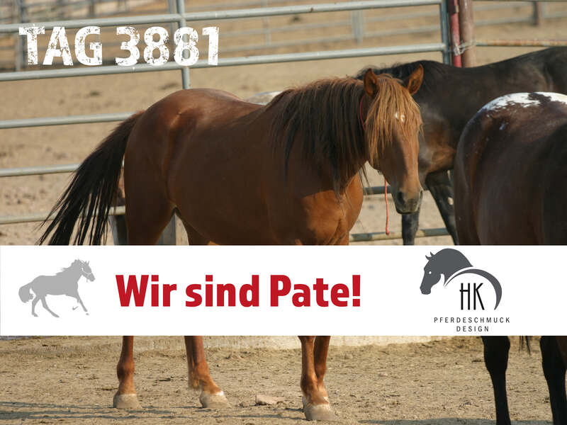 Steckbrief und erste Bilder aus Amerika