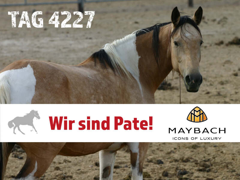 Steckbrief und erste Bilder aus Amerika