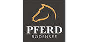 Pferd Bodensee